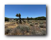 IMG_7902.jpg