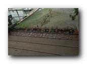 DSC01467.jpg