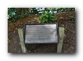 DSC01473.jpg