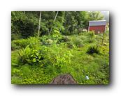 20260522_092536.jpg