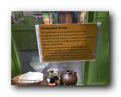 20260521_165201.jpg