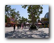 Fair253090526.jpg