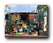 Fair292090526.jpg