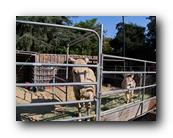Fair309090526.jpg