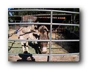 Fair312090526.jpg