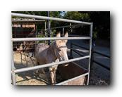 Fair313090526.jpg