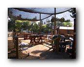 Fair320090526.jpg
