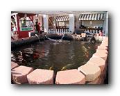 Fair390090526.jpg