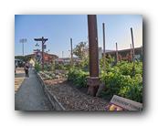 Fair394090526.jpg