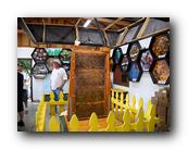 Fair400090526.jpg