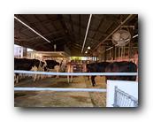 Fair415090526.jpg
