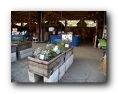 Fair418090526.jpg