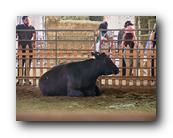 Fair423090526.jpg