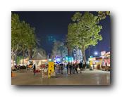 IMG_7871.jpg