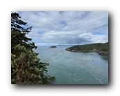 IMG_7932.jpg