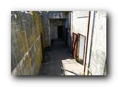 DSC01743.jpg