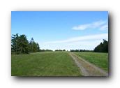 DSC01751.jpg