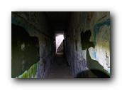 DSC01563.jpg