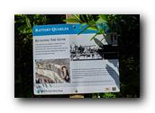 DSC01586.jpg