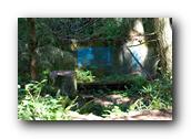 DSC01613.jpg