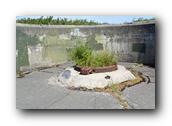 DSC01664.jpg