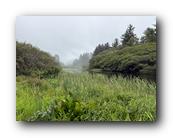 IMG_7958.jpg