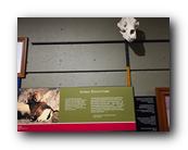 20260520_141501.jpg