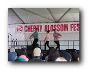MPKCherryBlossom433120426.jpg