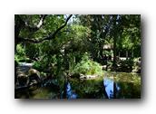 DSC01250.jpg