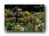 DSC01255.jpg