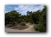 SDBotanic001030526.jpg