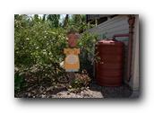 SDBotanic002030526.jpg