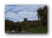 SDBotanic005030526.jpg