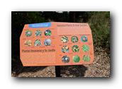 SDBotanic007030526.jpg