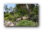 SDBotanic009030526.jpg