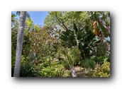 SDBotanic011030526.jpg