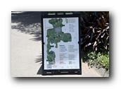 SDBotanic013030526.jpg