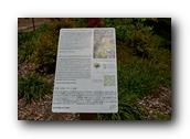 SDBotanic016030526.jpg
