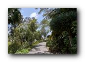 SDBotanic018030526.jpg