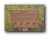 SDBotanic034030526.jpg