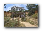 SDBotanic042030526.jpg