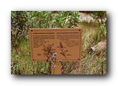 SDBotanic043030526.jpg