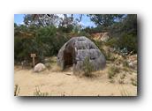 SDBotanic046030526.jpg