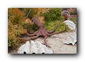 SDBotanic071030526.jpg