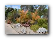 SDBotanic072030526.jpg