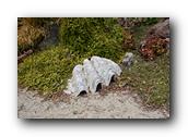 SDBotanic073030526.jpg