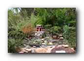 SDBotanic083030526.jpg