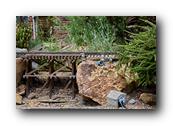 SDBotanic087030526.jpg
