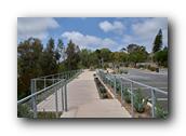 SDBotanic090030526.jpg