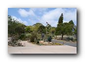 SDBotanic091030526.jpg